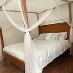 דירה 'one Tree' Apartment, Old Town *
