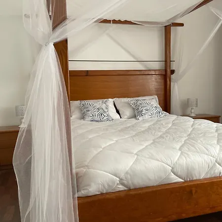 'one Tree' Apartment, Old Town Daire Zadar