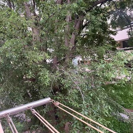 Daire 'one Tree' Apartment, Old Town *