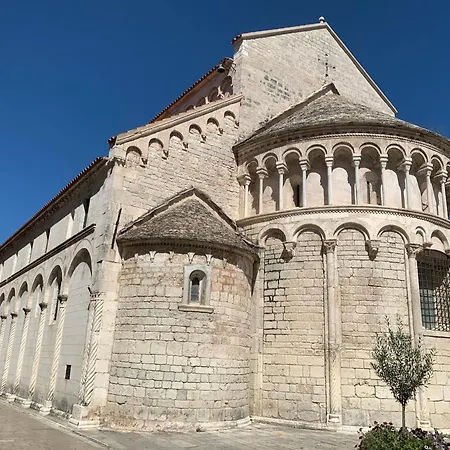 'one Tree' Apartment, Old Town * Zadar