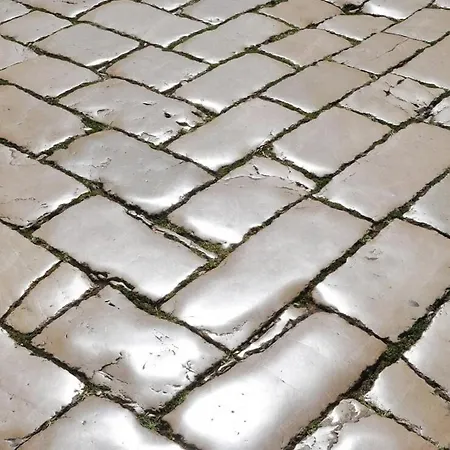 'one Tree' Apartment, Old Town