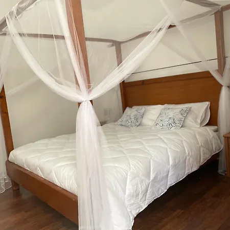 Lejlighed 'one Tree' Apartment, Old Town *