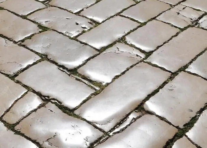 'one Tree' Apartment, Old Town