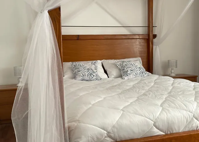 'one Tree' Apartment, Old Town Lägenhet Zadar