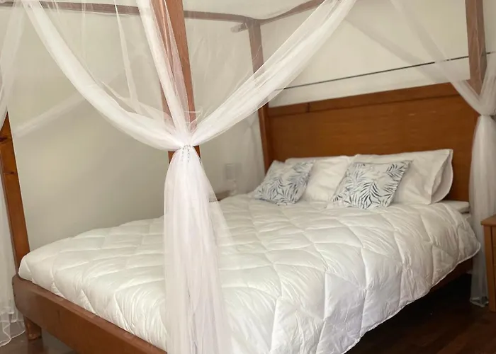 Lägenhet 'one Tree' Apartment, Old Town *