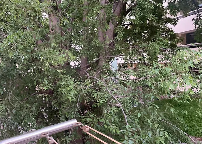 Lägenhet 'one Tree' Apartment, Old Town *