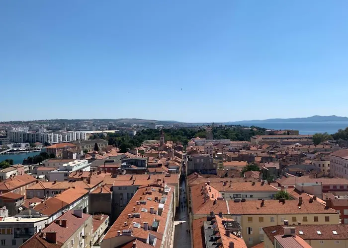 'one Tree' Apartment, Old Town Lägenhet Zadar